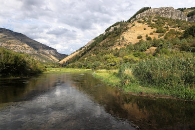 6769 - Grand Teton and Yellowstone NP road trip 2019 - IMG_8537 DxO Pbase.jpg