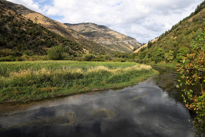 6772 - Grand Teton and Yellowstone NP road trip 2019 - IMG_8541 DxO Pbase.jpg