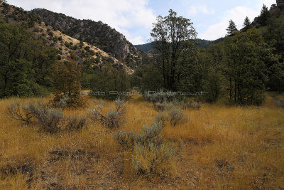 6901 - Grand Teton and Yellowstone NP road trip 2019 - IMG_8622 DxO Pbase.jpg