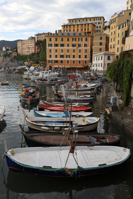222 Dcouverte des Cinque Terre - IMG_2974_DxO Pbase.jpg