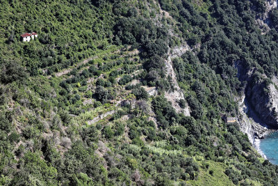 789 Dcouverte des Cinque Terre - IMG_3620_DxO Pbase.jpg