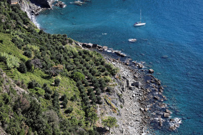 798 Dcouverte des Cinque Terre - IMG_3629_DxO Pbase.jpg