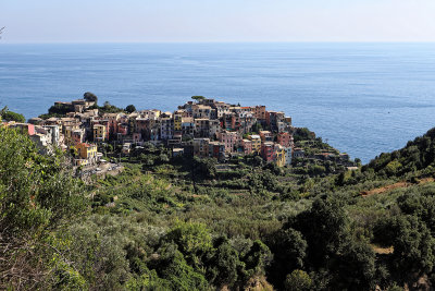 817 Dcouverte des Cinque Terre - IMG_3648_DxO Pbase.jpg