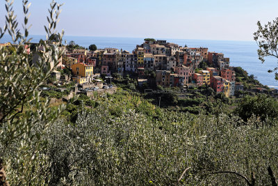 821 Dcouverte des Cinque Terre - IMG_3652_DxO Pbase.jpg