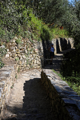 826 Dcouverte des Cinque Terre - IMG_3658_DxO Pbase.jpg