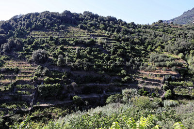 838 Dcouverte des Cinque Terre - IMG_3670_DxO Pbase.jpg