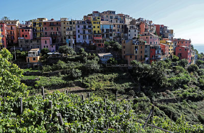 843 Dcouverte des Cinque Terre - IMG_3675_DxO Pbase.jpg