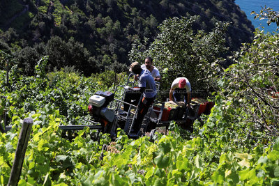 1029 Dcouverte des Cinque Terre - IMG_3869_DxO Pbase.jpg