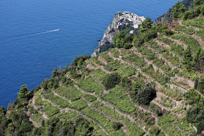 1068 Dcouverte des Cinque Terre - IMG_3908_DxO Pbase.jpg