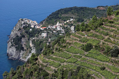 1077 Dcouverte des Cinque Terre - IMG_3918_DxO Pbase.jpg