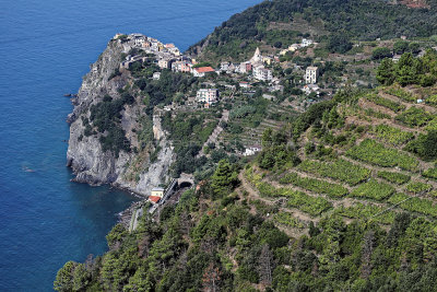 1078 Dcouverte des Cinque Terre - IMG_3919_DxO Pbase.jpg