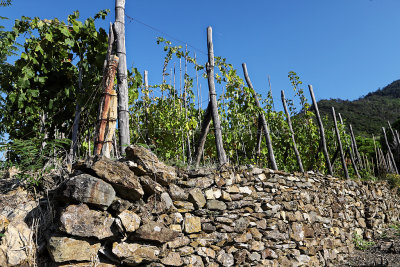 929 Dcouverte des Cinque Terre - IMG_3766_DxO Pbase.jpg