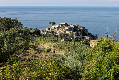 937 Dcouverte des Cinque Terre - IMG_3775_DxO Pbase.jpg