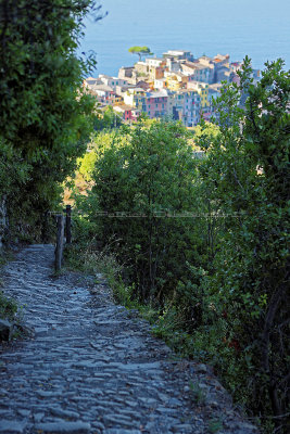 944 Dcouverte des Cinque Terre - IMG_3784_DxO Pbase.jpg