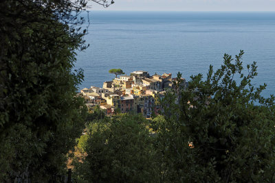 945 Dcouverte des Cinque Terre - IMG_3785_DxO Pbase.jpg