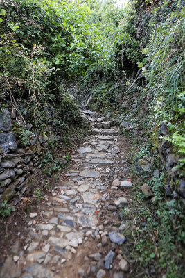 946 Dcouverte des Cinque Terre - IMG_3786_DxO Pbase.jpg