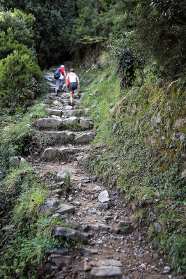 950 Dcouverte des Cinque Terre - IMG_3790_DxO Pbase.jpg