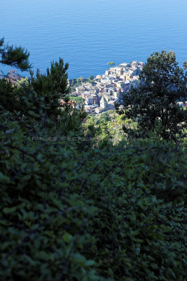 957 Dcouverte des Cinque Terre - IMG_3797_DxO Pbase.jpg