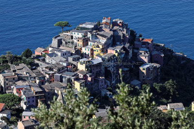 966 Dcouverte des Cinque Terre - IMG_3806_DxO Pbase.jpg