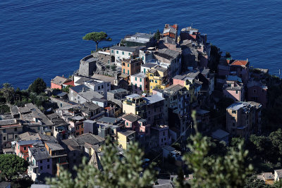 971 Dcouverte des Cinque Terre - IMG_3811_DxO Pbase.jpg