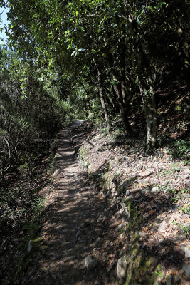 987 Dcouverte des Cinque Terre - IMG_3827_DxO Pbase.jpg