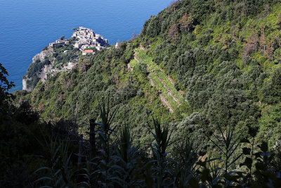 993 Dcouverte des Cinque Terre - IMG_3833_DxO Pbase.jpg