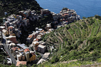 1156 Dcouverte des Cinque Terre - IMG_4002_DxO Pbase.jpg