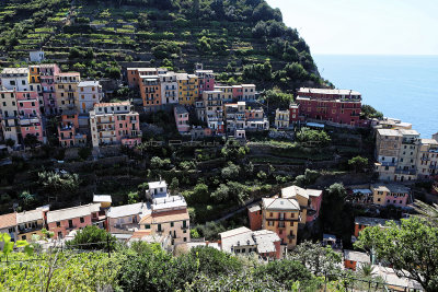 1177 Dcouverte des Cinque Terre - IMG_4023_DxO Pbase.jpg