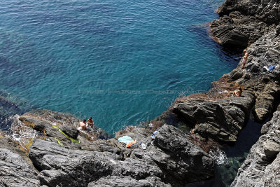 1211 Dcouverte des Cinque Terre - IMG_4058_DxO Pbase.jpg