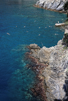 1231 D‚couverte des Cinque Terre - IMG_4078_DxO Pbase.jpg