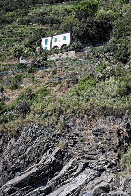 1580 D‚couverte des Cinque Terre - IMG_4489_DxO Pbase.jpg