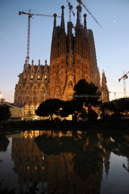 1131 - Week end a Barcelone en mars 2019 - IMG_2320 DxO Pbase.jpg