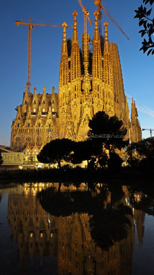 1147 - Week end a Barcelone en mars 2019 - IMG_2336 DxO Pbase.jpg