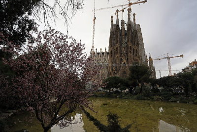 1175 - Week end a Barcelone en mars 2019 - IMG_2364 DxO Pbase.jpg