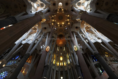 1227 - Week end a Barcelone en mars 2019 - IMG_2417 DxO Pbase.jpg