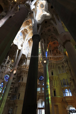 1229 - Week end a Barcelone en mars 2019 - IMG_2419 DxO Pbase.jpg