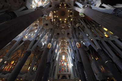 1231 - Week end a Barcelone en mars 2019 - IMG_2421 DxO Pbase.jpg