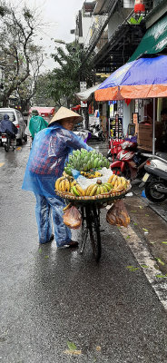 106 - Two weeks in Vietnam - Photos portables - 20200304_111844 DxO Pbase.jpg