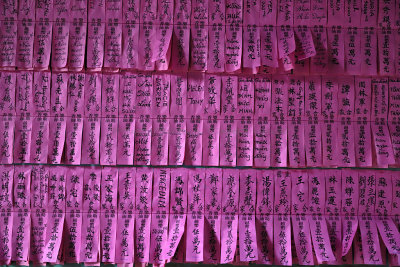 3868 - Two weeks in Vietnam - IMG_4000 DxO Pbase.jpg