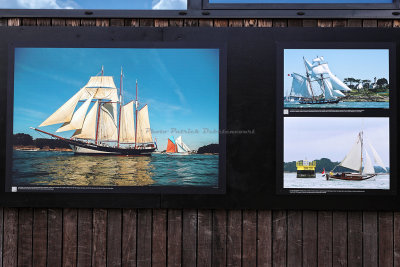 IMG_7362_DxO Pbase.jpg