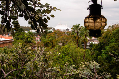 View Space from a Tree House