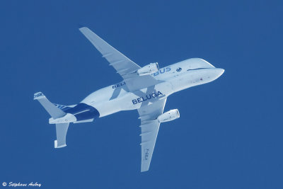 Airbus A330-743L Beluga XL F-GXLH