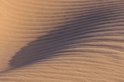 Sand and shadow