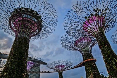 Singapore By Night