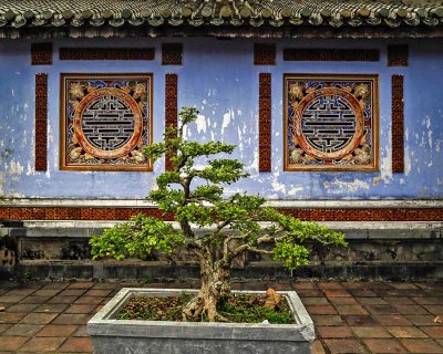 _R7A1904_f_10x8_90.jpg