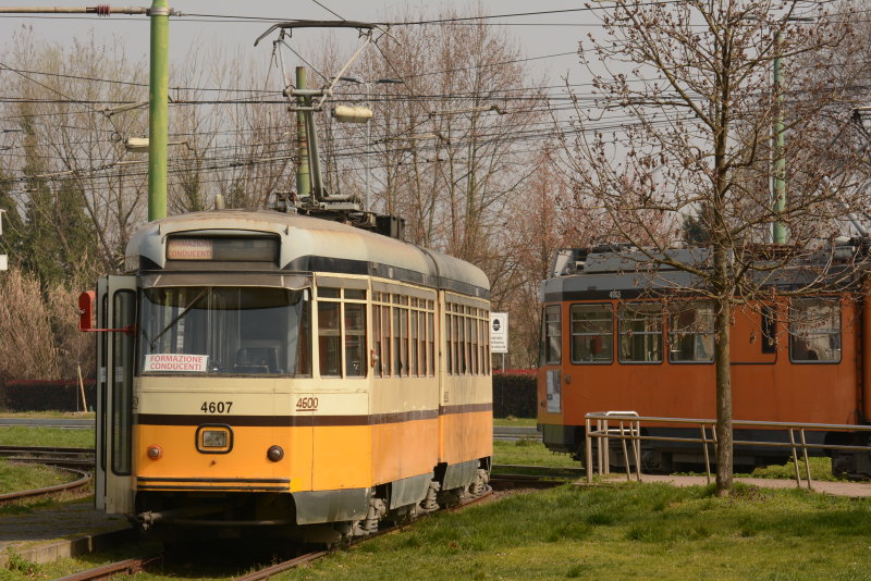N21_2532.jpg