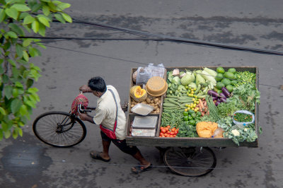 The travelling vegetable vendor
