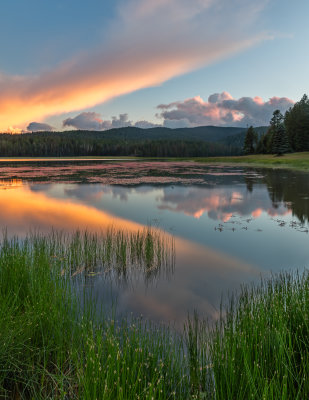 _81A7735-HDR.jpg