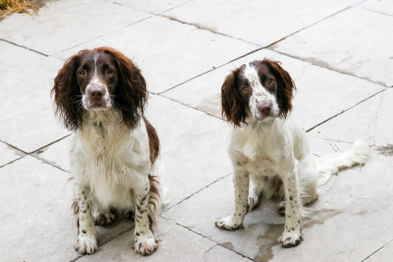 Prue and Bragha