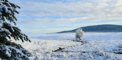 A bit of snow